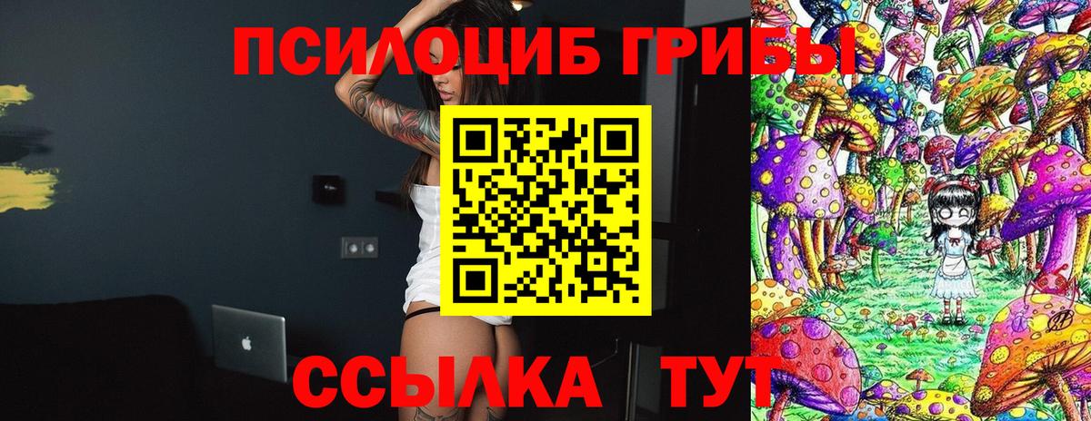 Луховицы  Псилоцибиновые грибы прущие грибы  Псилоцибиновые грибы мицелий  Вход с VPN 