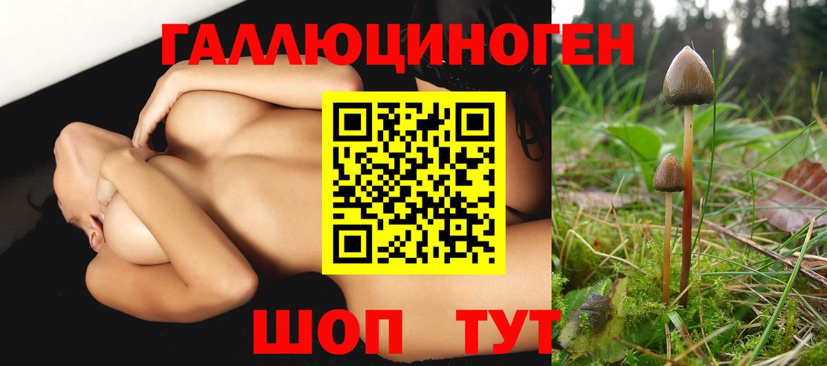 Псилоцибиновые грибы MAGIC MUSHROOMS Луховицы